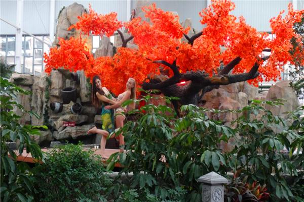 太白山温泉酒店500以下价格,太白山凤凰温泉酒店标准间价格