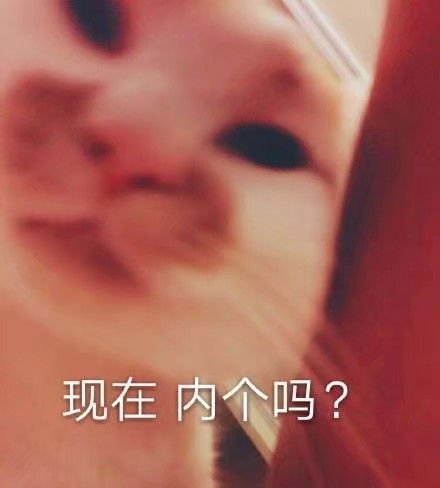 表情包你能亲亲我嘛,表情包你能拿我怎么办