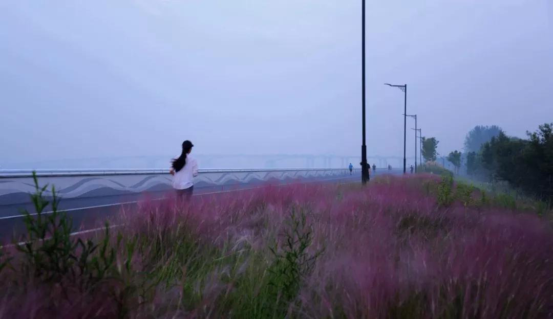 2019年杭州最美绿道,余杭街道苕溪北岸绿道