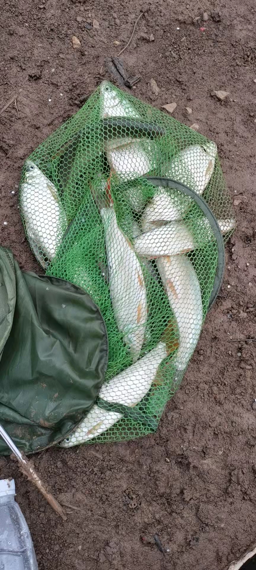 享受生活，游钓山水，光威与我同行