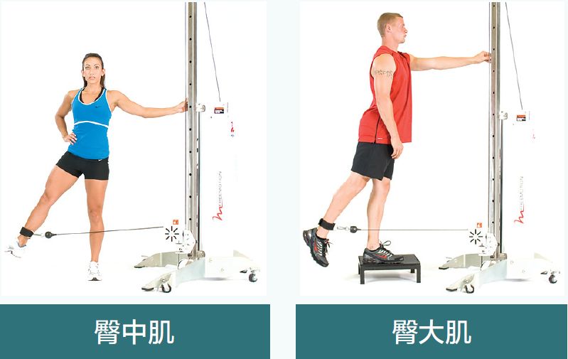 美国运动医学学会——膝关节损伤纠正性训练方案