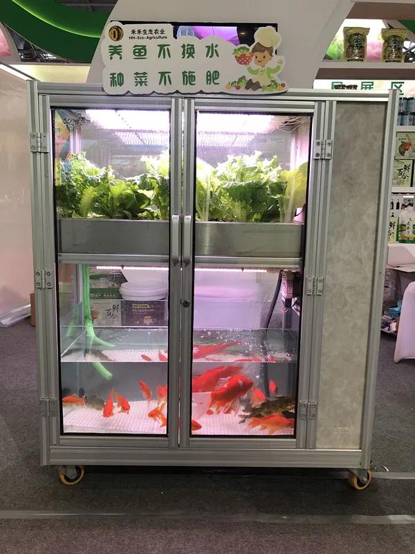 合肥农交会东西便宜吗,合肥农交会上的特产