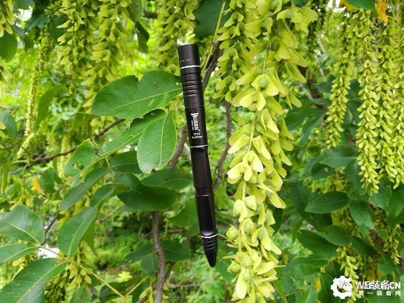 一举未必三得——务本TP10战术笔入手体验