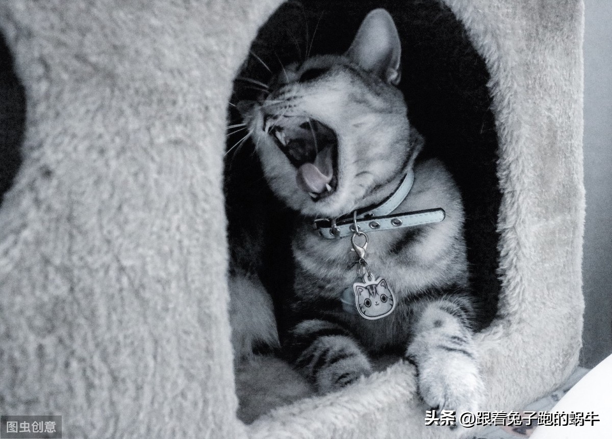 怎样改变自己迟钝的性格,怎样改善反应慢的问题