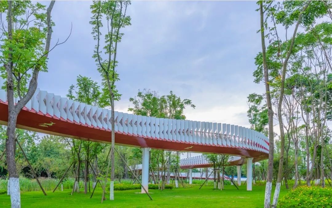 成都十大绿道旅游线路推荐,成都绿道最佳观赏地点