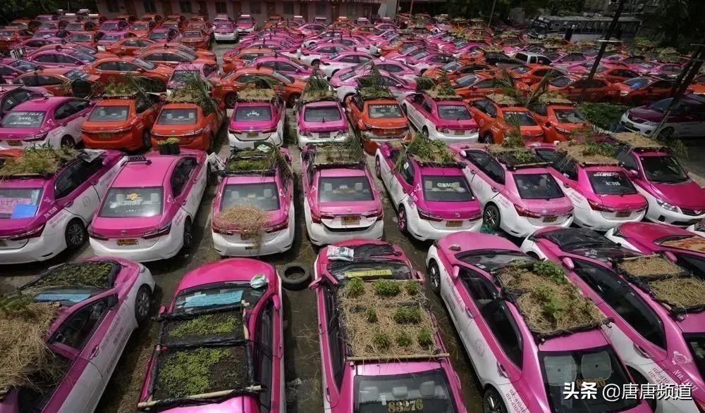 泰国5大奇葩冷知识让人瞠目结舌,泰国为什么会有七种颜色