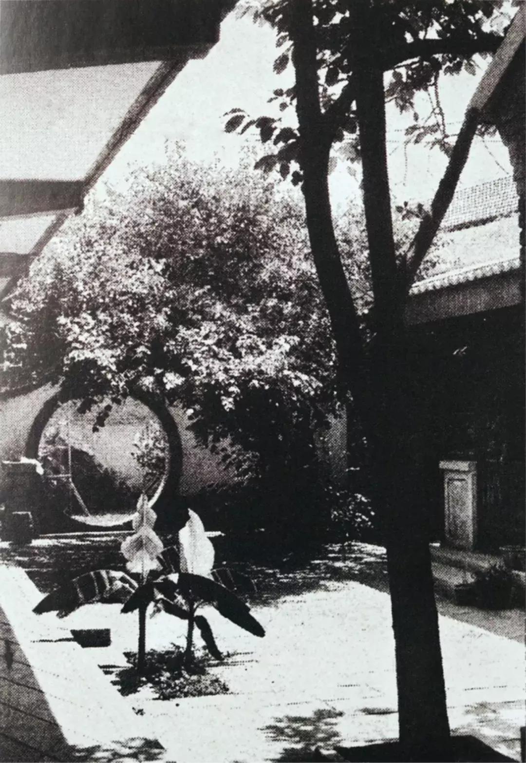 丈夫送的上亿家产，她一分不留，全捐给了故宫