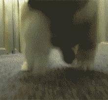 成都老社保卡换新社保卡流程,成都社保卡换新卡要什么手续