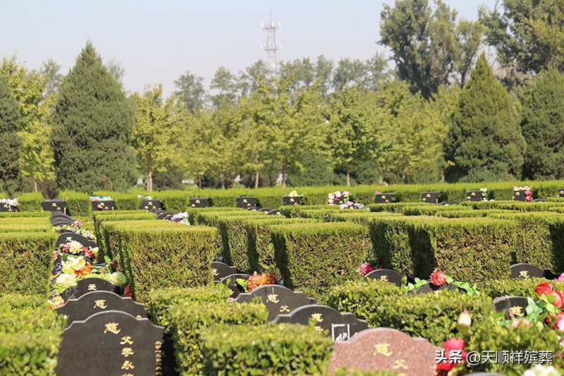 人死后不买墓地对后代不好吗,死后不买墓地有什么后果