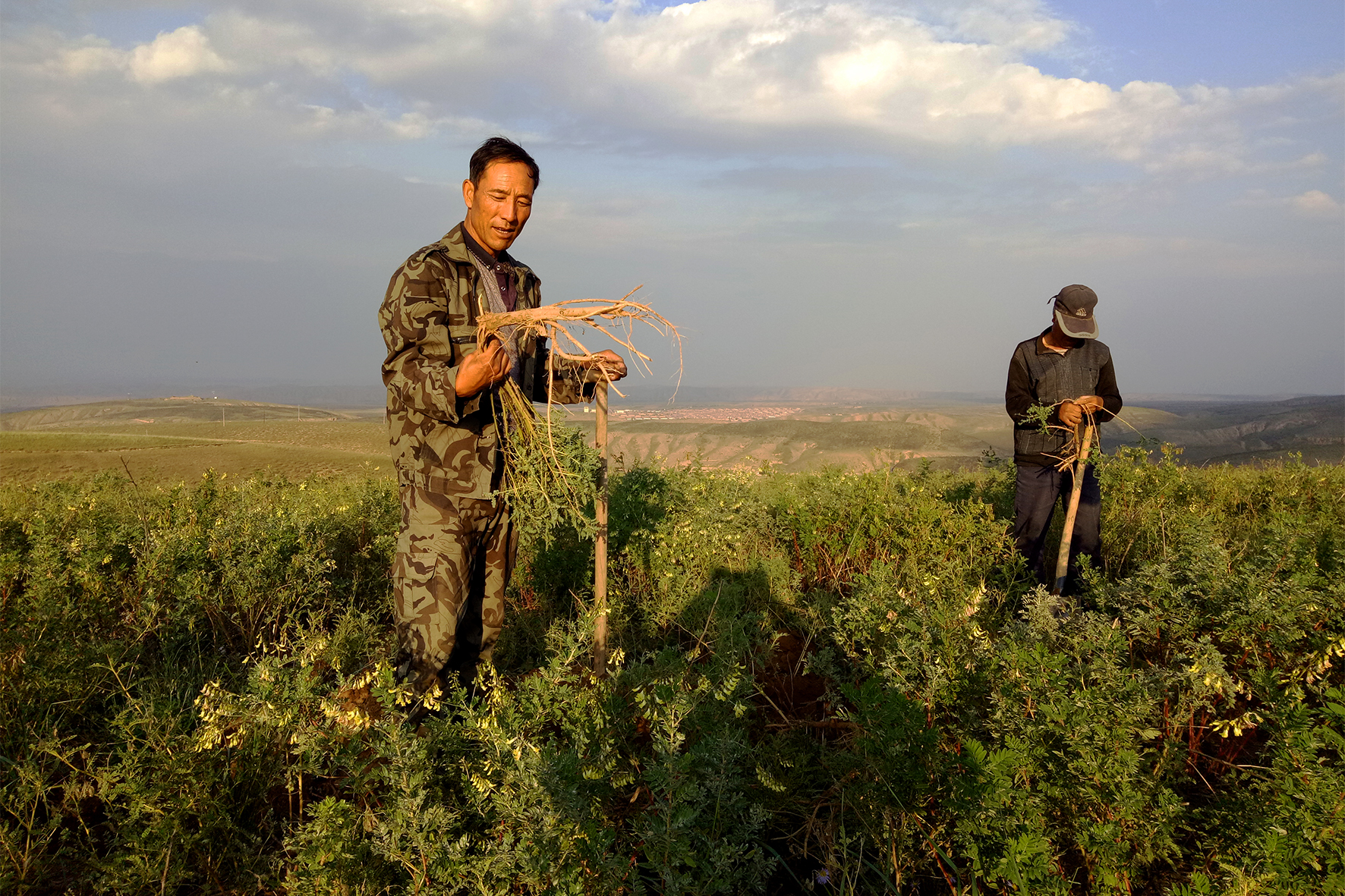 农村一出门就会晒黑怎么办,去乡下晒黑了啥时候能白回来