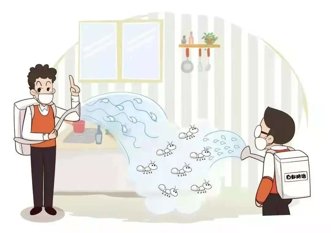 装修入住的房子怎么消灭白蚁,装修前除白蚁最简单有效的方法