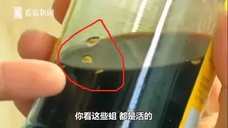海天酱油里有蛆是怎么回事,海天酱油长蛆是怎么回事