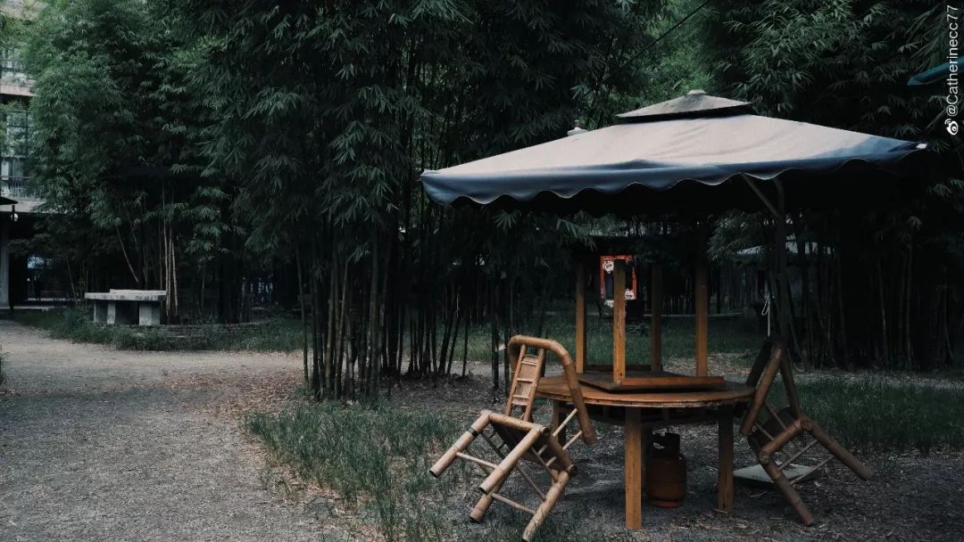 成都二环最漂亮的高架桥,成都清晨二环高架路上的风景线