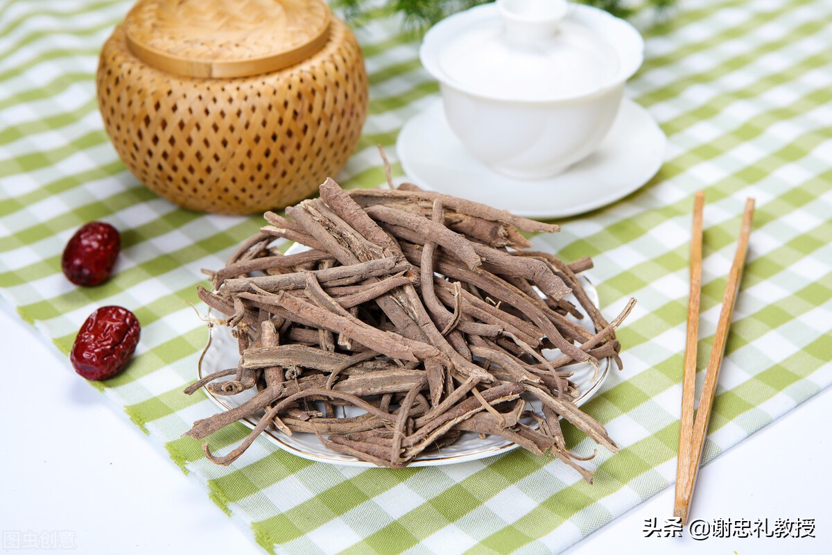 五加皮中药功效速记口诀,五加皮中药调理