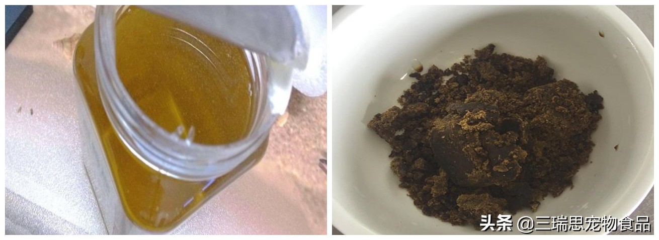 钓鱼小药不溶于水,钓鱼真的有必要加小药吗