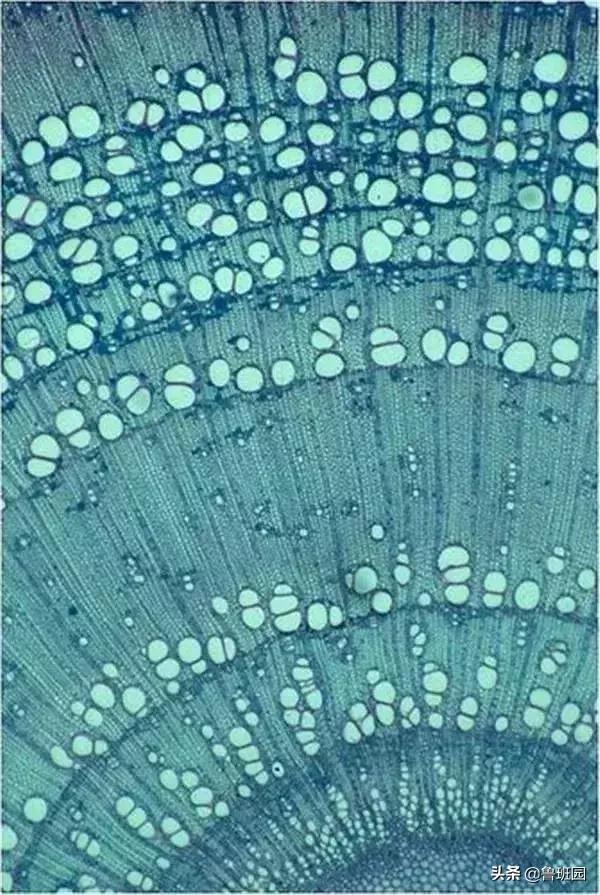 实木家具开裂最好的处理办法,实木家具开裂补救措施