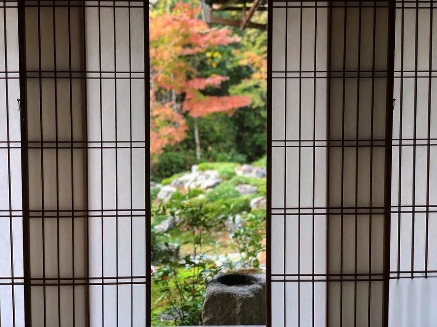 停车坐爱枫林晚，感受火红的秋