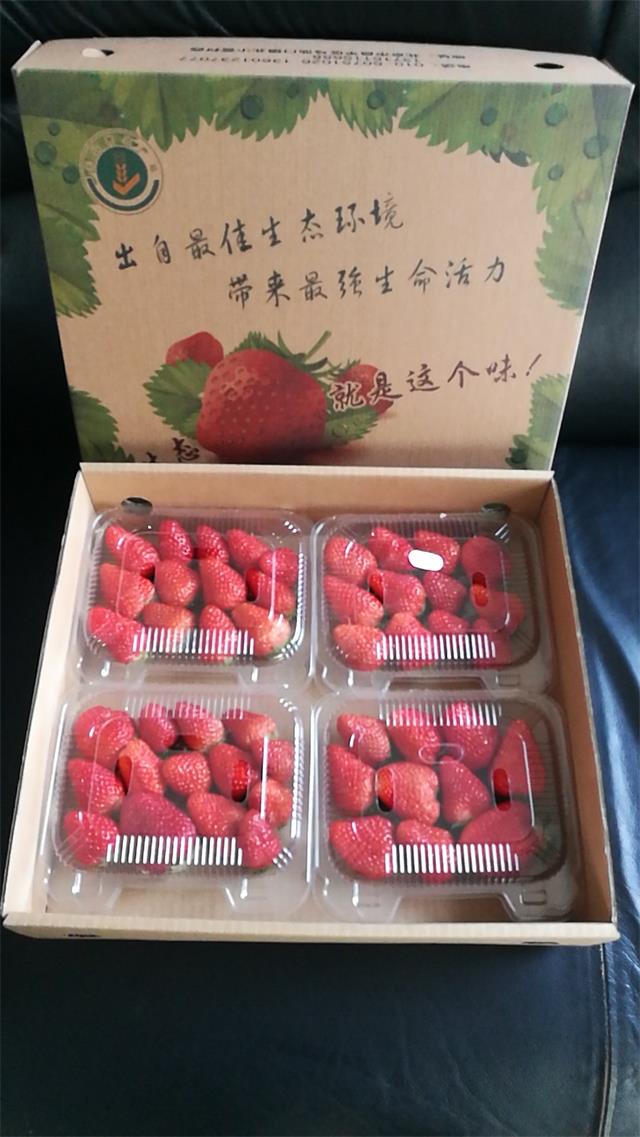 北京四季青西山采摘观光园,尽享采摘时光