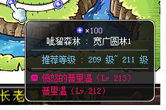 冒险岛职业攻略奇袭者篇,冒险岛炎术士怎么往上飞