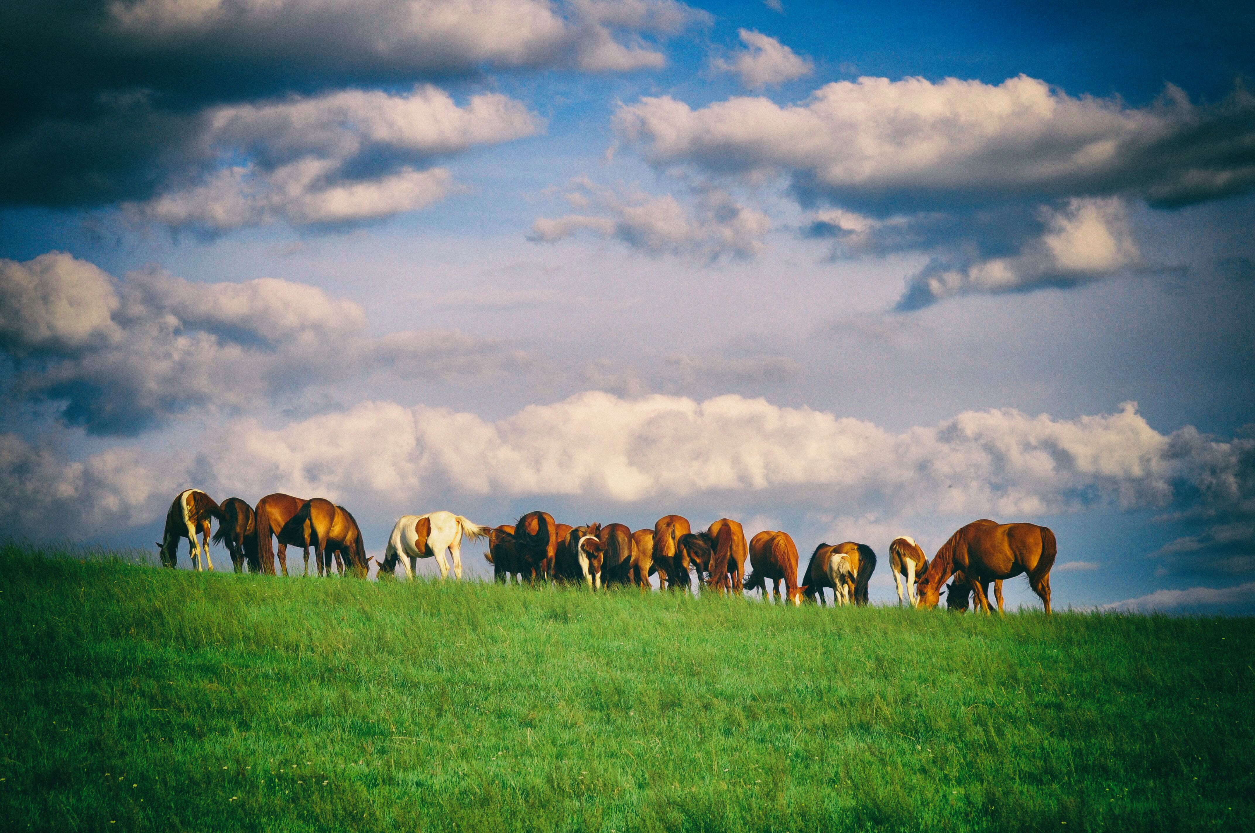 东北边疆,东北行游记2019