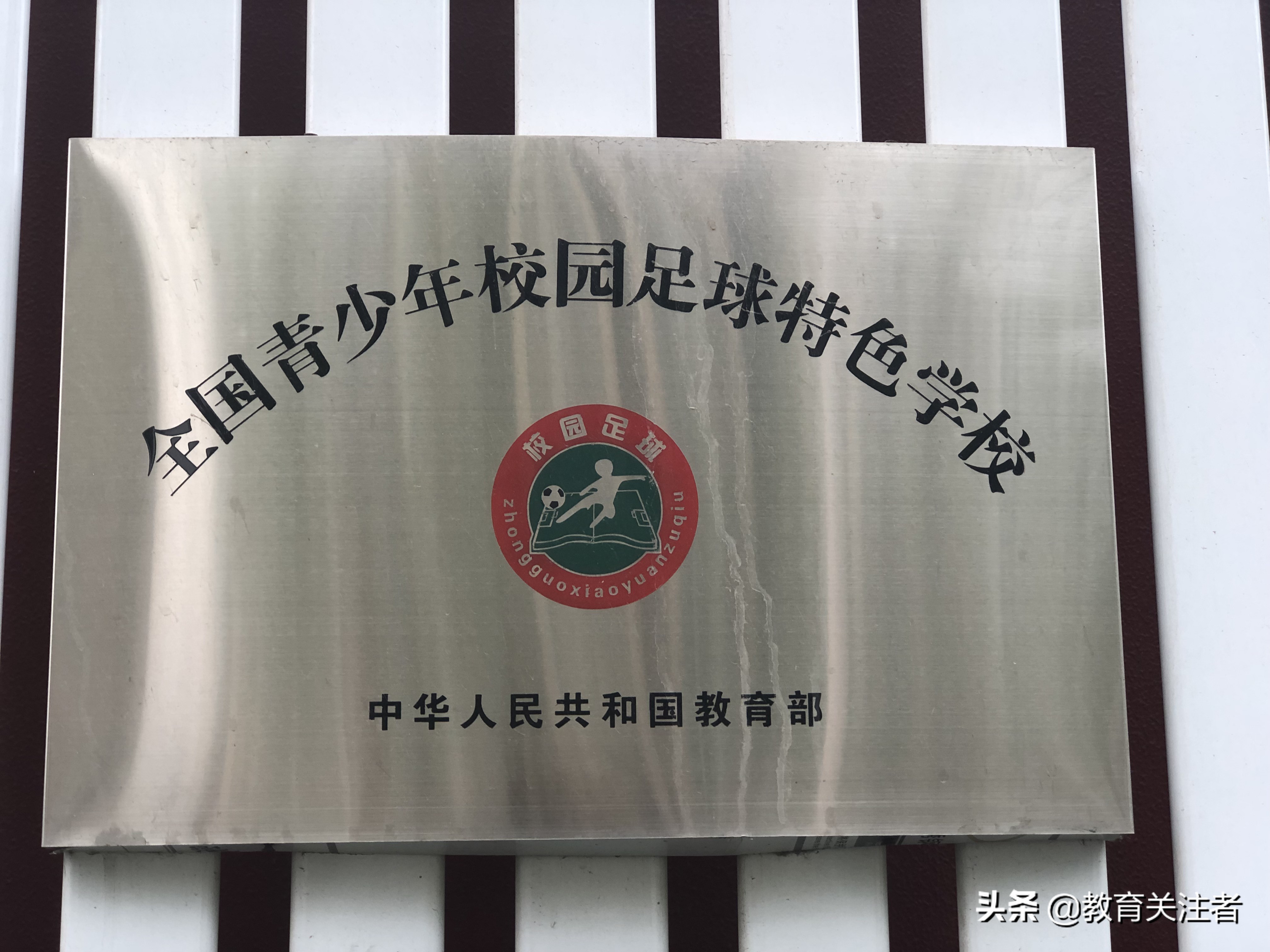 蒲公英小学在郑东新区排名,郑东新区蒲公英小学