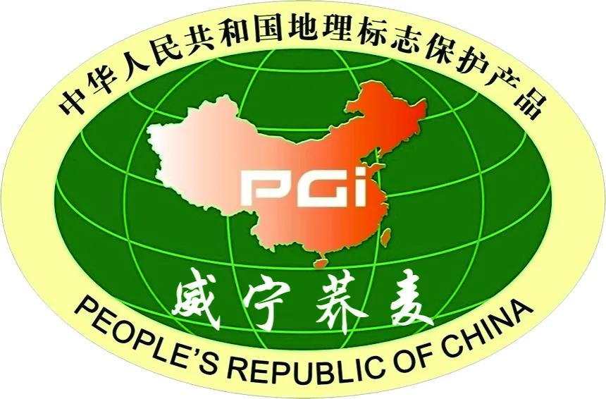 黑珍珠黑苦荞茶四川大凉山荞麦茶,威宁黑苦荞胚芽茶