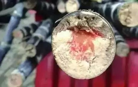 发霉变红的甘蔗能吃吗,霉变红心甘蔗不要吃