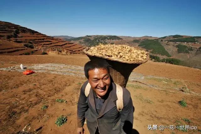 现在卖12元1斤生猪亏本吗,农民养猪90元一斤