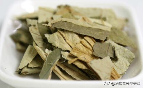 夏季清热解毒的药材有哪些,夏季常用的解暑中药