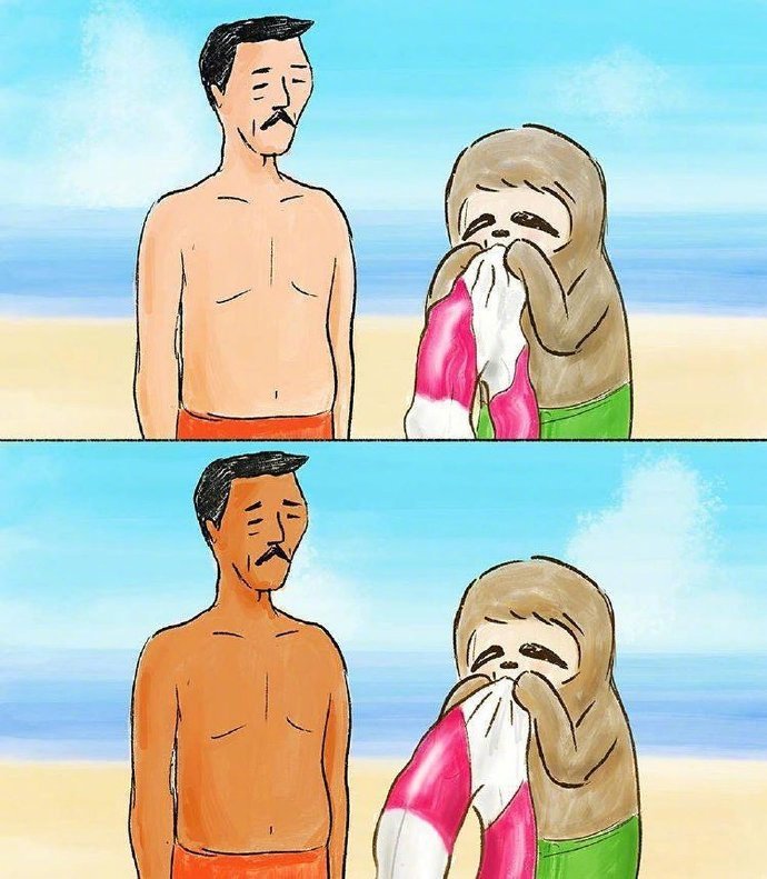 树懒先生的漫画,树懒先生漫画免费