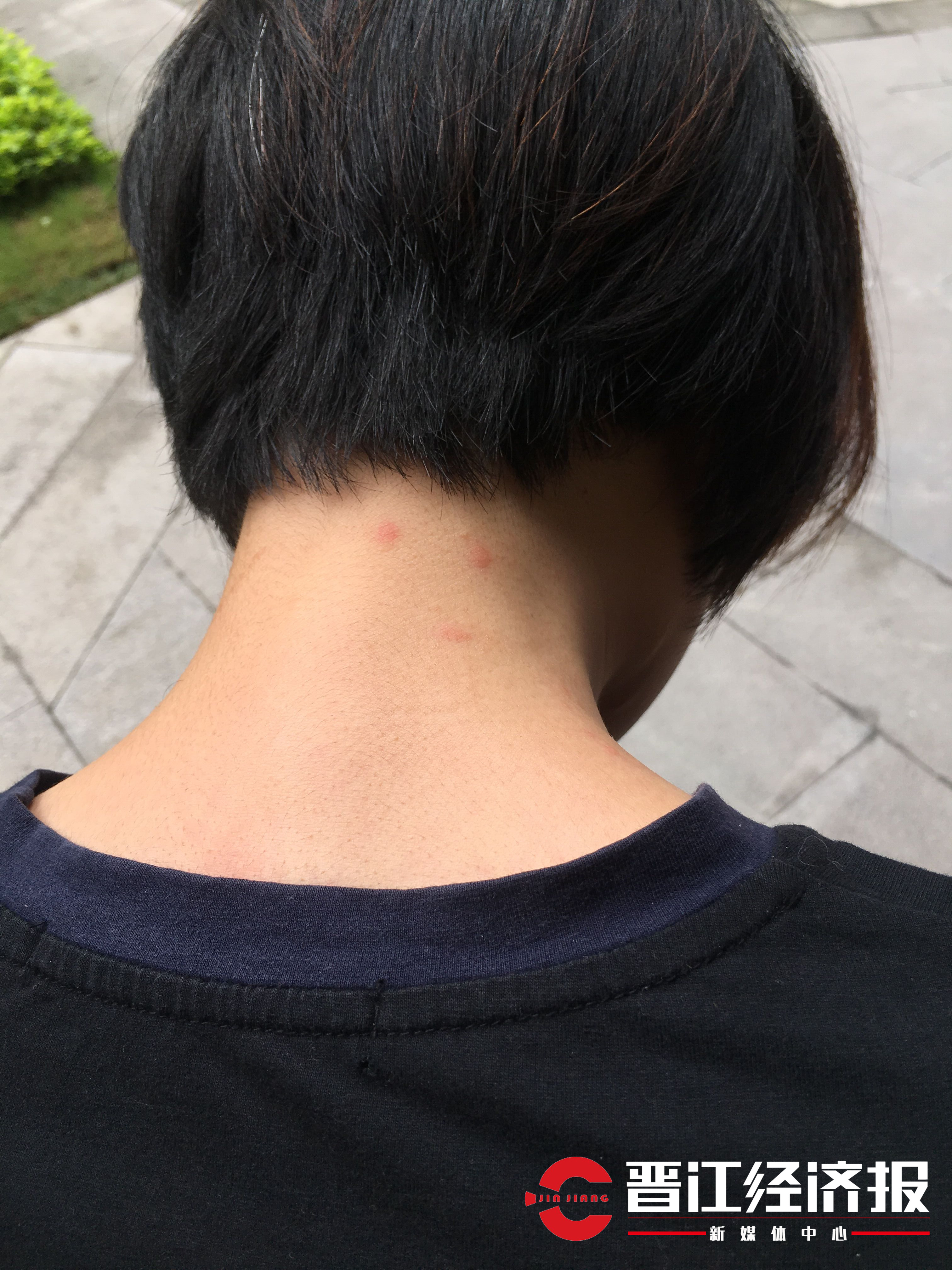 中航城天骏南区,中航城天骏北区