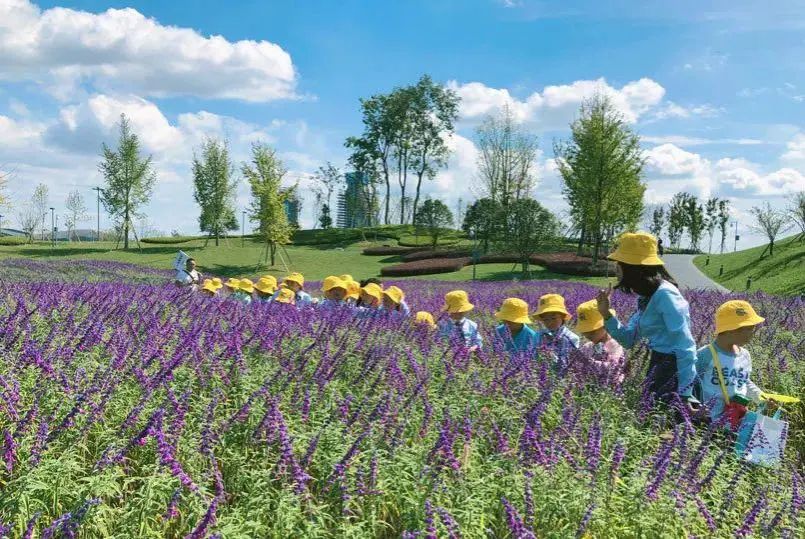 川师系学校,川师系私立学校怎么样