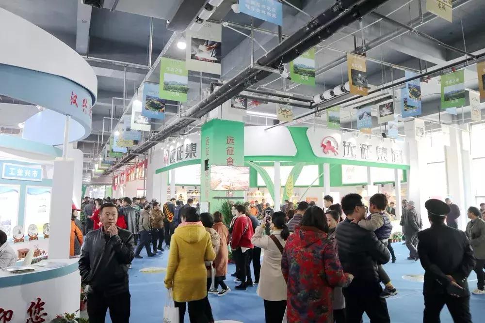 永城面博会策划,永城面博会照片