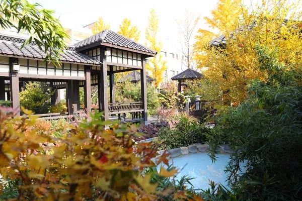 泡温泉玩水上滑梯,北京可以泡温泉又可以玩水上滑梯