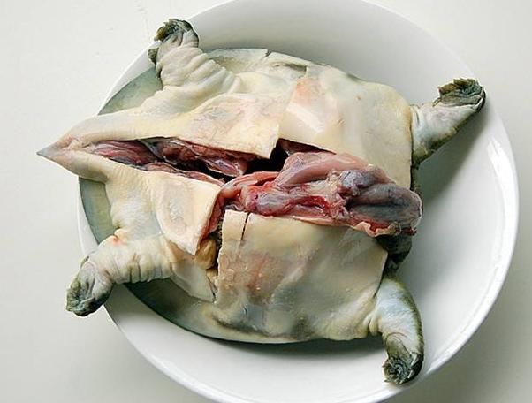 甲鱼怎么处理最简单,甲鱼怎样宰杀和清炖