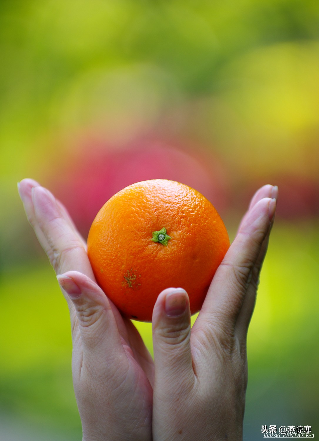 理光镜头和宾得通用吗,宾得理光图片大全