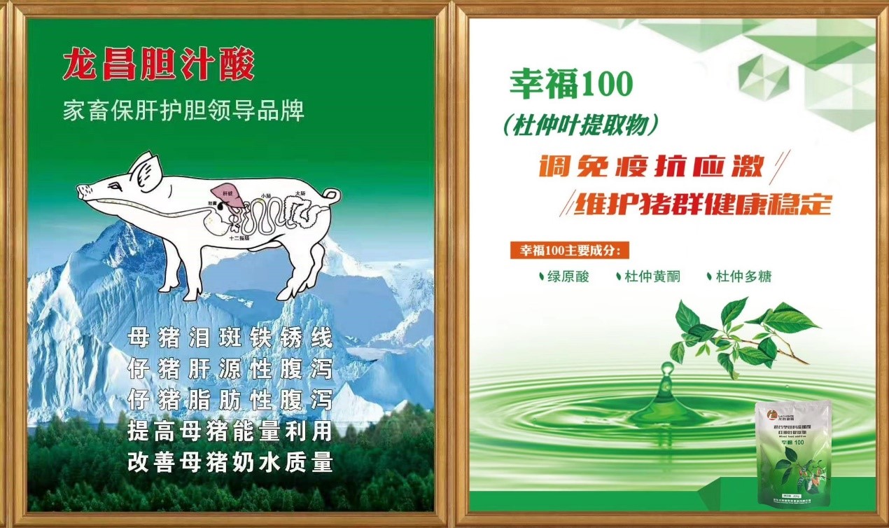 仔猪腹泻拉稀的最佳治疗方法,十天的仔猪拉稀和吐怎样治