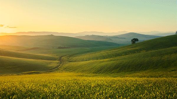 xps13二合一手写,xps13二合一新款