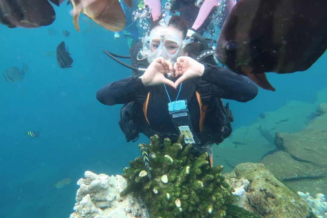 学生会的“璐瑶姐”、潜心公益的“爱心天使”、敢坐滑翔机的超飒女孩儿驾到