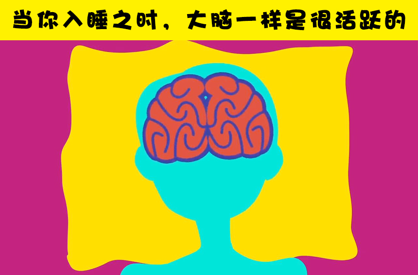 关于人体，大多数人还不知晓的15个事实