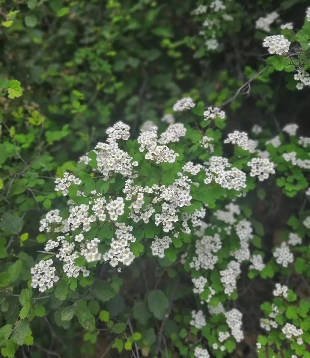 一座神人共栖的“煤都”