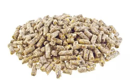 9岁小男孩吃炸鸡,男子吃炸鸡导致胸部发育