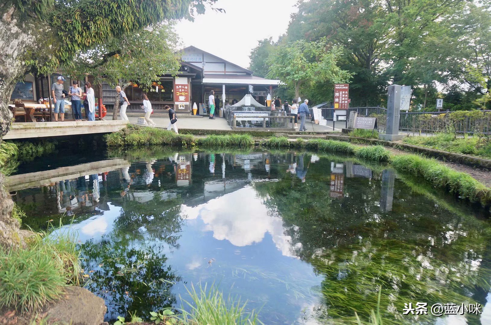 东京富士山镰仓一日游,东京旅游攻略镰仓一日游