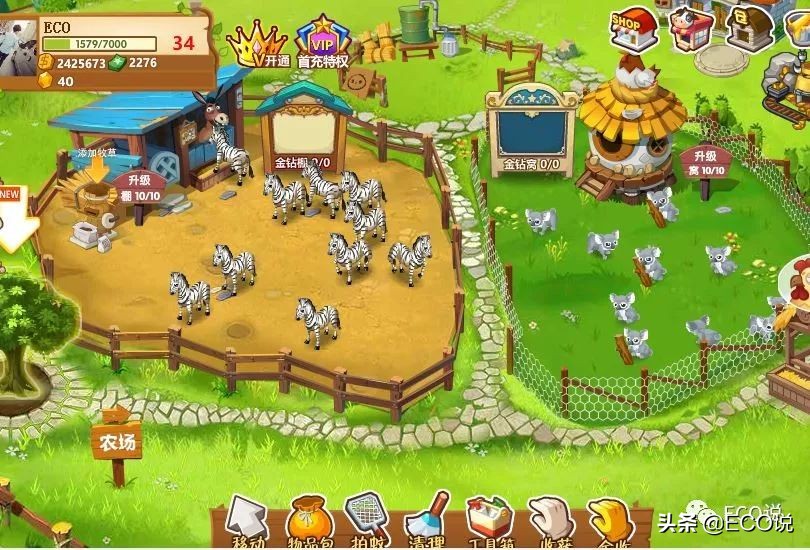 那些年qq带给我们的回忆,qq十年回顾