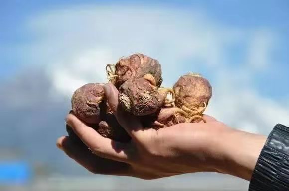 生活中的忽悠是什么,生活中我们被哪些谣言忽悠了