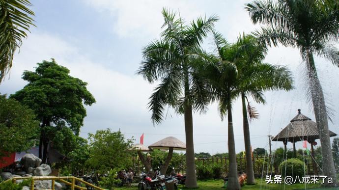 广东省潮州市十大旅游景点排名表,潮州邹鲁岭海滨