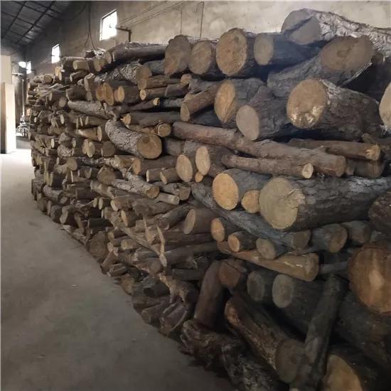 江小东养生壶,宜兴江小东