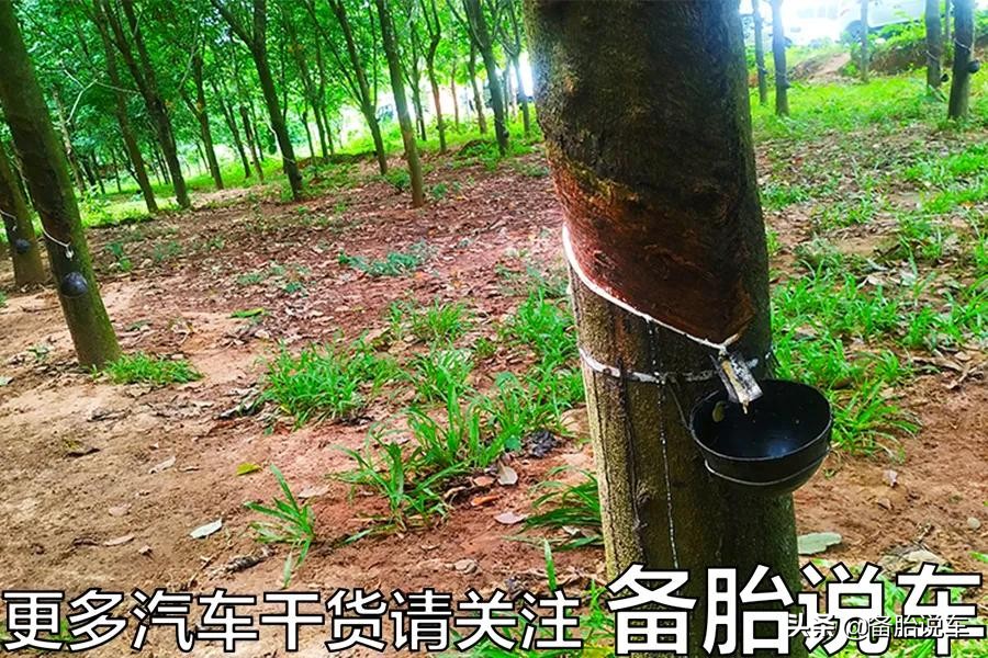 18570r14轮胎和18565r15轮胎区别,国产和国外的轮胎有什么区别