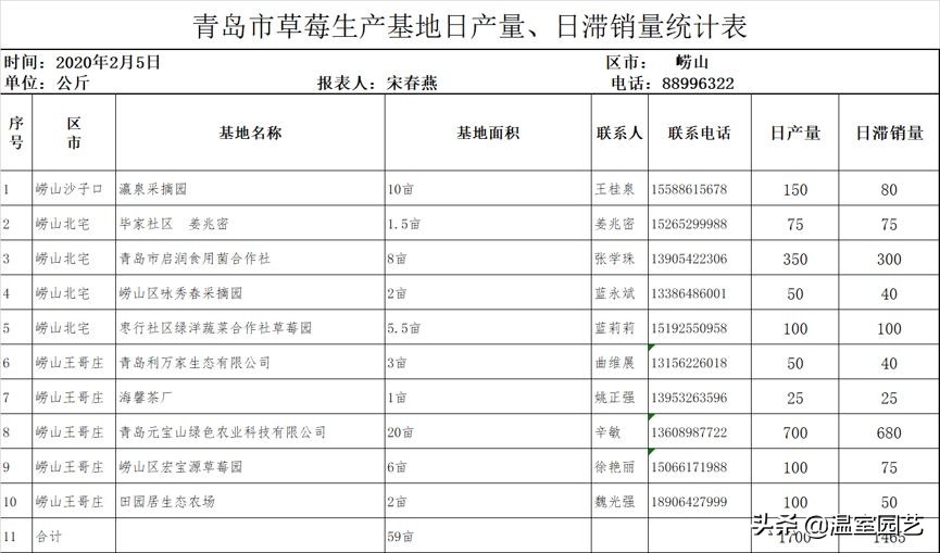 草莓滞销危机,草莓滞销卖不出去了吗