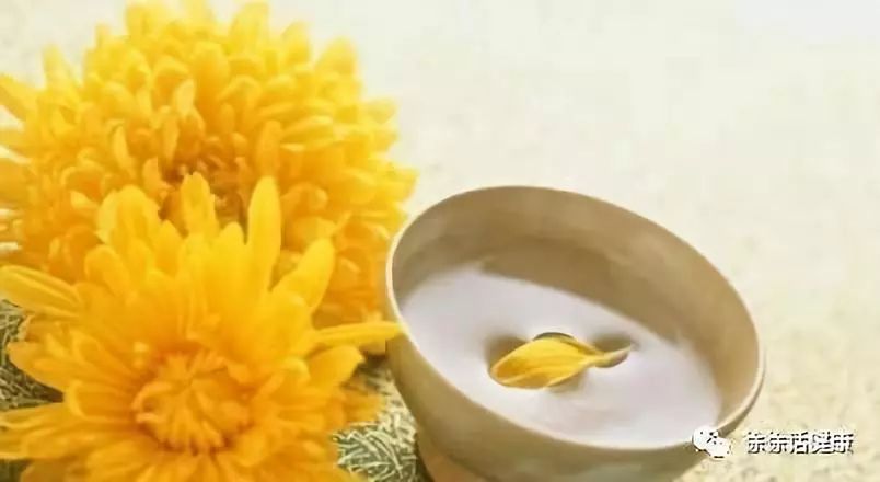 贡菊亳菊杭菊怀菊,毫菊滁菊贡菊杭菊谁的功效最强